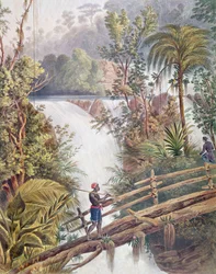 Cascade d